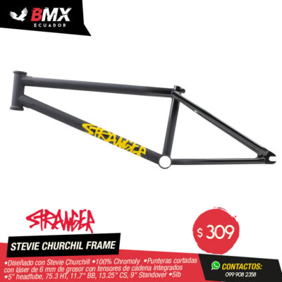 CUADRO STRANGER “STEVIE CHURCHILL” 21