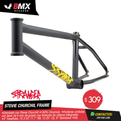 CUADRO STRANGER “STEVIE CHURCHILL” 21