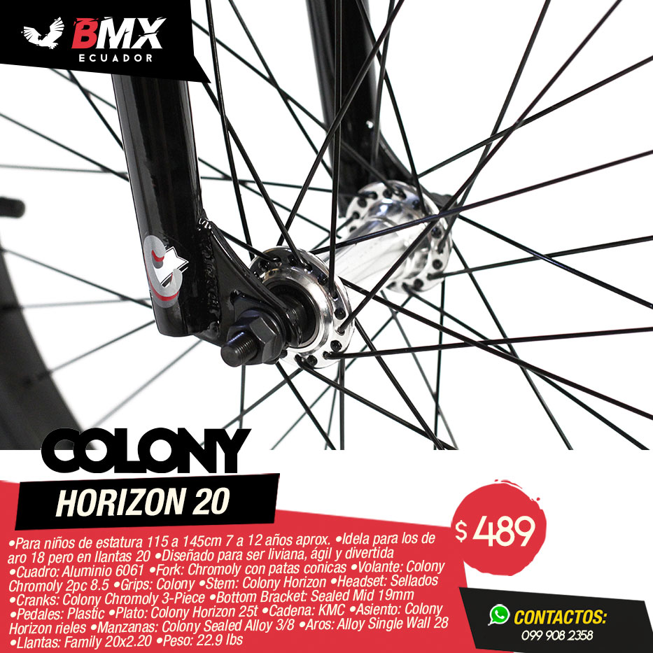 bicicleta-colony-horizon-20-bk2
